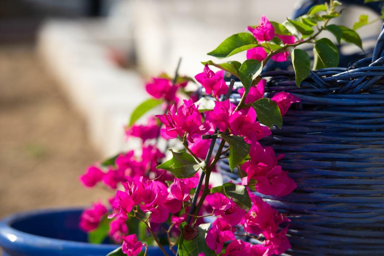 Family Room with Terrace,833107373:JPEG