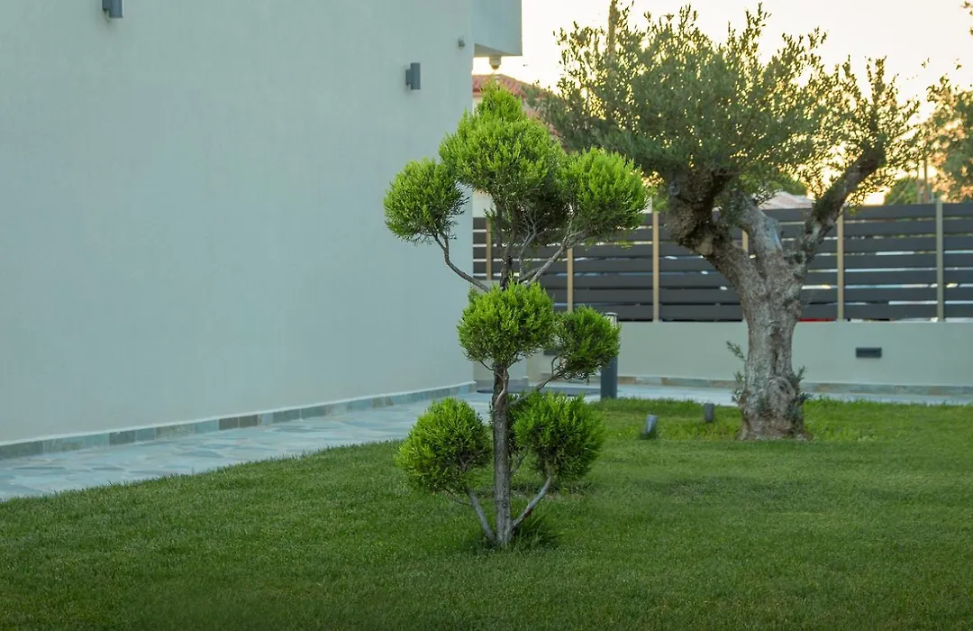 Oliva Suites-1