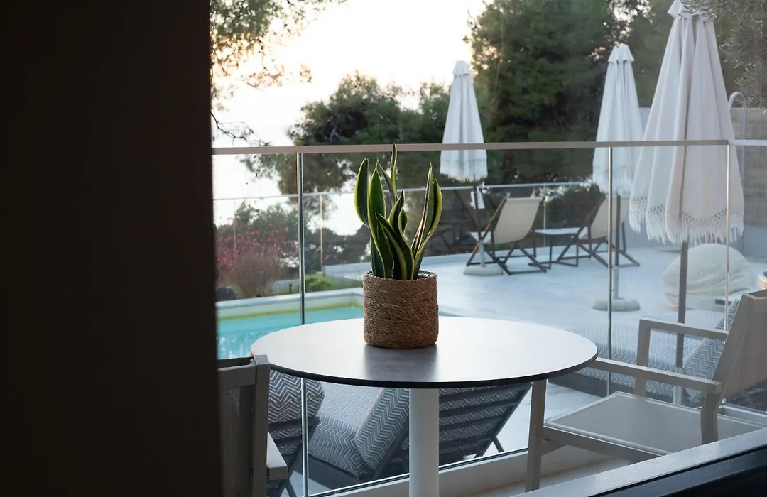 Casa Bloo Adults Only By Still Collection-1