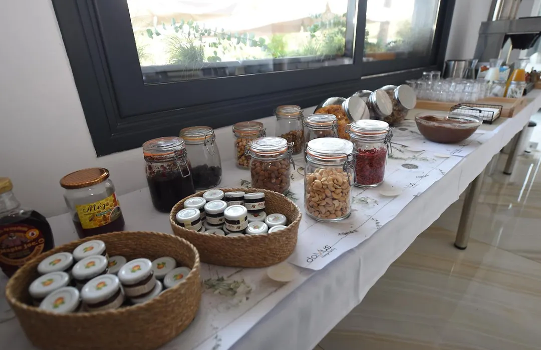 Domus Hospitality-1