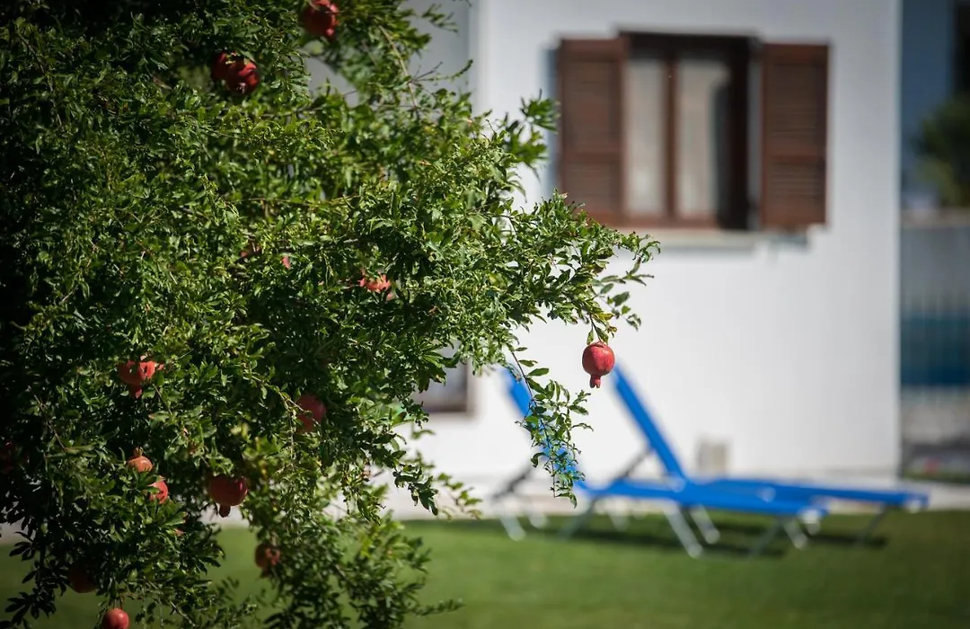 Molino Villa-1