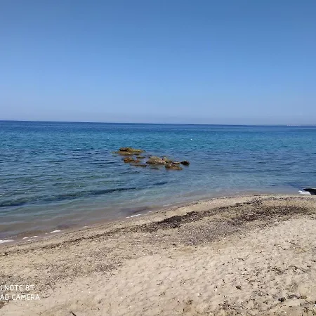 Lavender And Sea-2