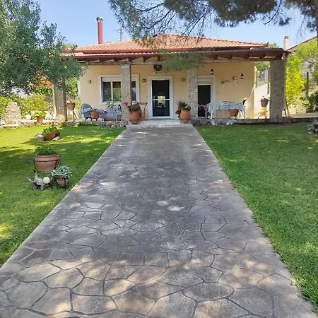 Summer House Toula-3