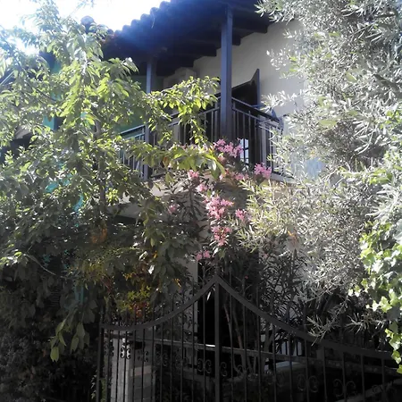 Tassos 2-2