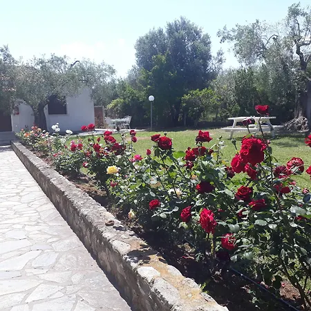 Marios Garden House-3