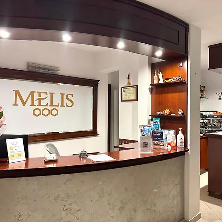 Melis Studios-2