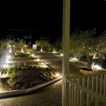 Olivegrove House-2