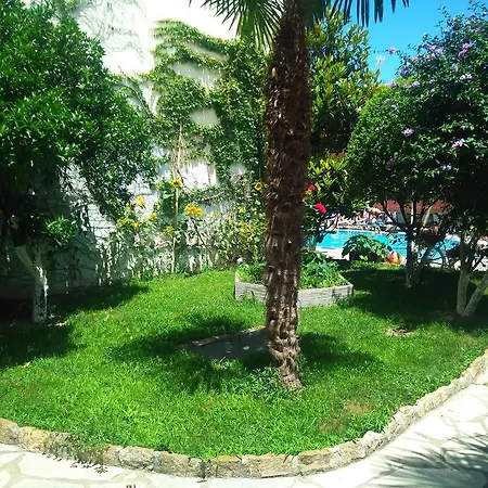 Pelli Hotel-3