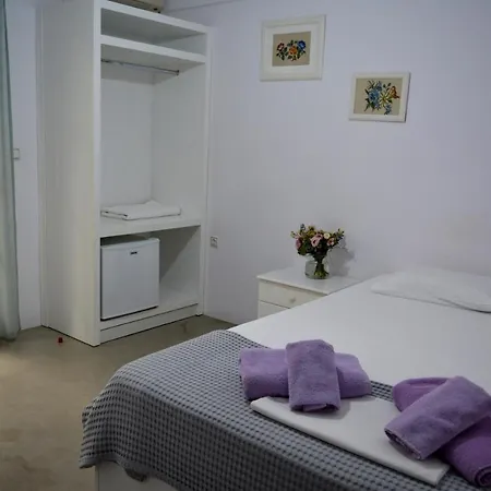 Hotel Theopisti-3