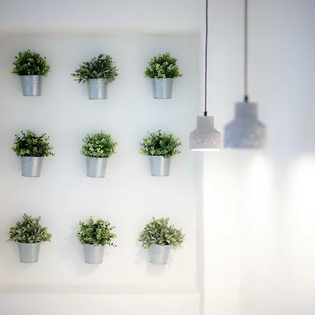Kokkinos-3
