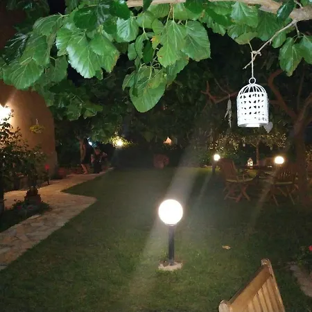 Fani House-2