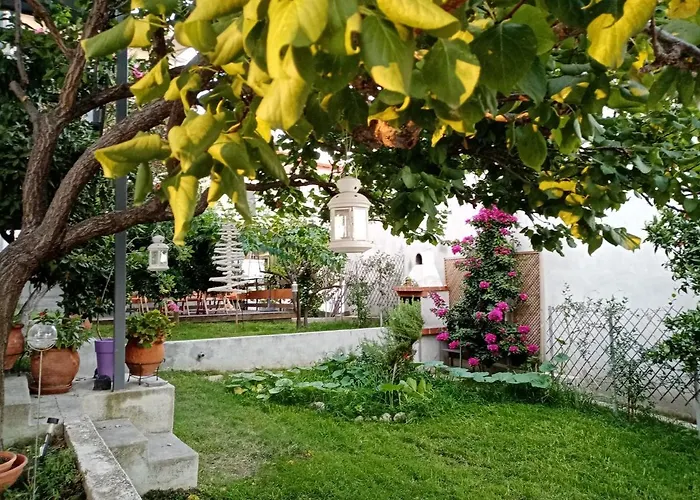 Studios Mouse House Νέος Μαρμαράς
