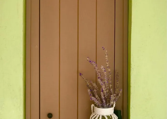 Ferienwohnung Olivegrove House Vourvourou