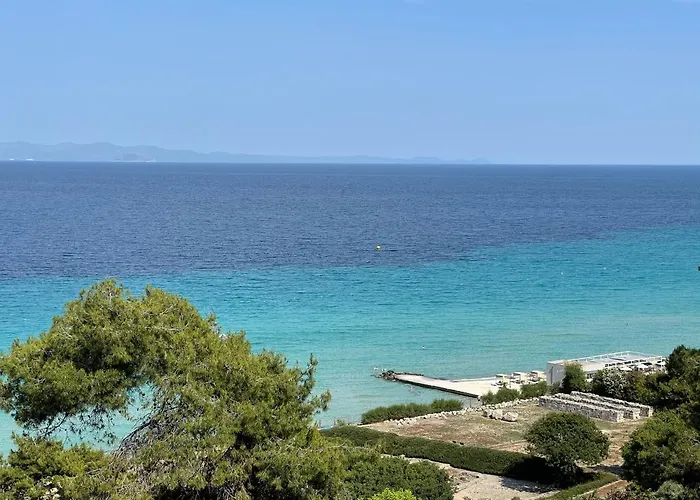 Pet friendly Olive Apartment Kalithea Kallithea 
