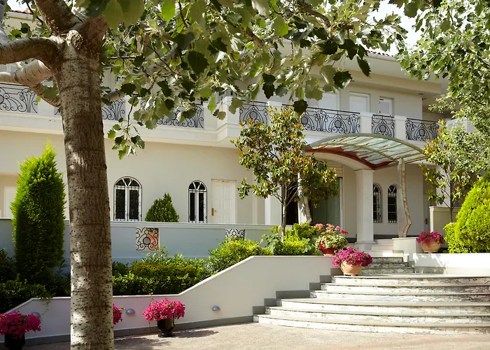 Hotel The Danai Nikiti 