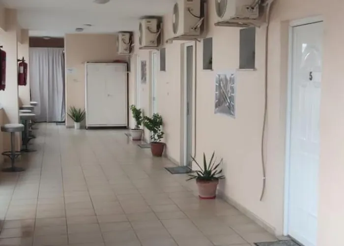 Pet friendly Rodica Studios Kallithea 