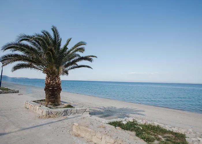 Kassandra Studios Πολύχρονο