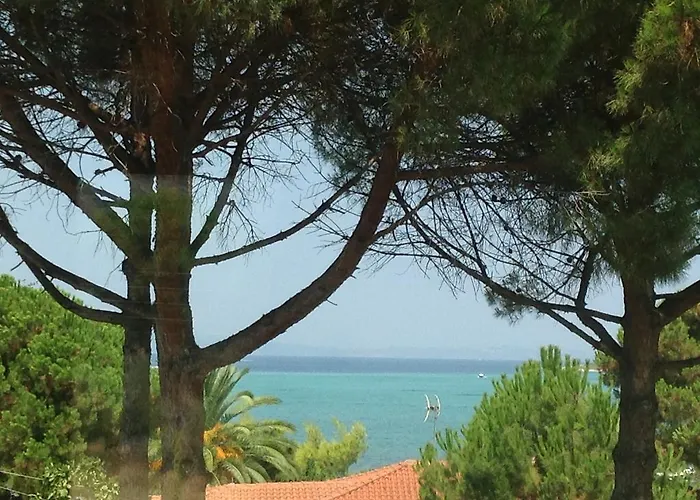 Elena Apartments Nikiti 